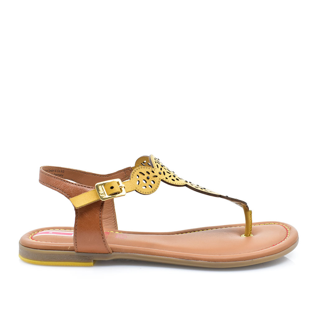 2099-0117-ΚΙΤΡΙΝΟ-1