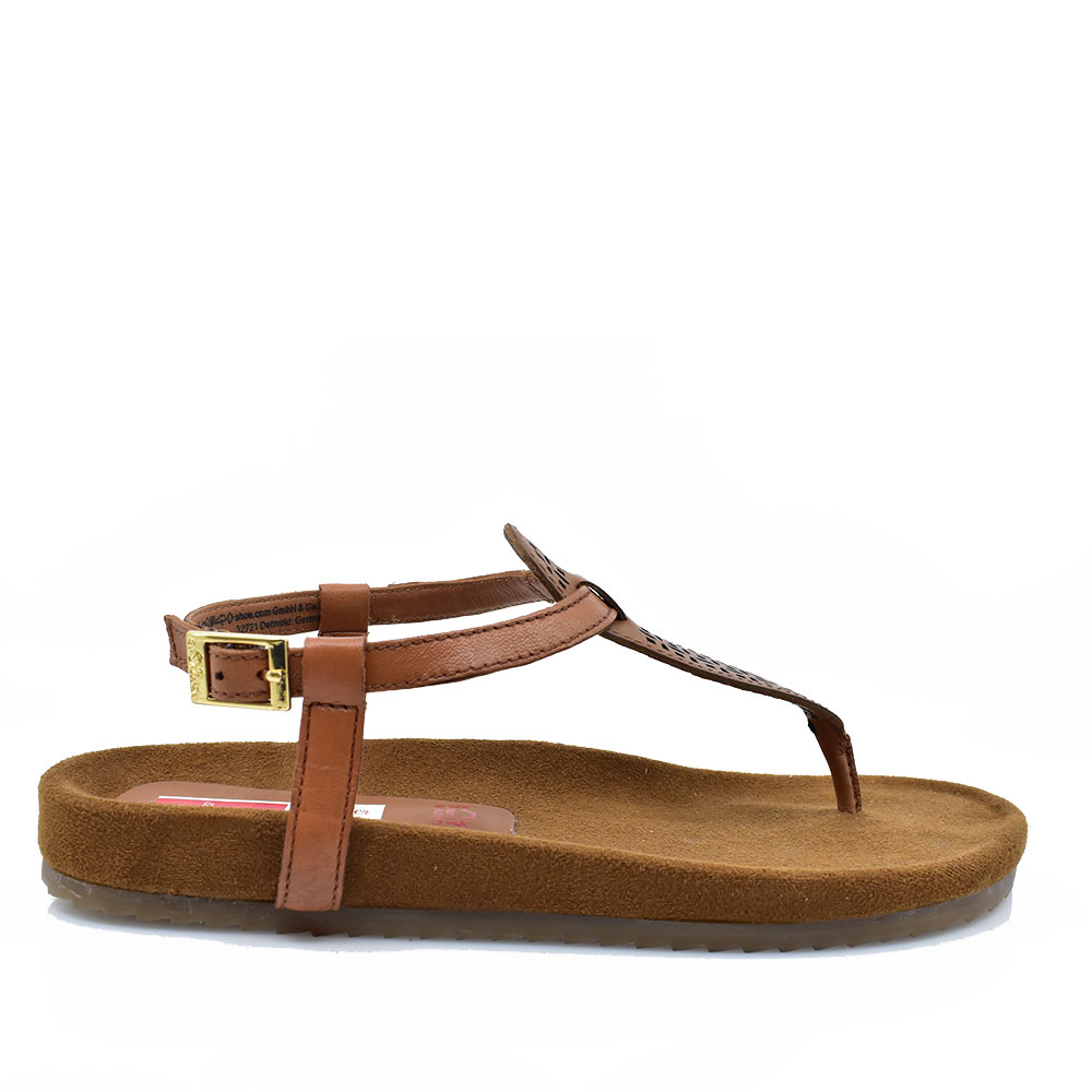 2099-0118-ΤΑΜΠΑ-1