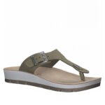 2199-0149-ΛΑΔΙ-2