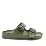 2199-0207-ΛΑΔΙ-1