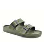 2199-0207-ΛΑΔΙ-2