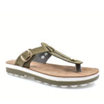 2199-0310-ΛΑΔΙ-2