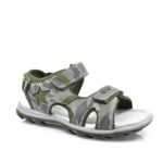 2199-0354-ΛΑΔΙ-2