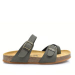 2199-0418-ΛΑΔΙ-1