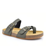 2199-0418-ΛΑΔΙ-2