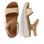 2199-0534-ΚΑΜΕΛ-3