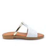 2199-0691-ΛΕΥΚΟ-1