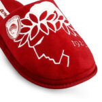 2211-0210-ΚΟΚΚΙΝΟ-2