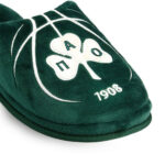 2211-0212-ΠΡΑΣΙΝΟ-2