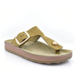 2299-0149-ΛΑΔΙ-2