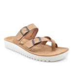 2299-0430-ΚΑΜΕΛ-2