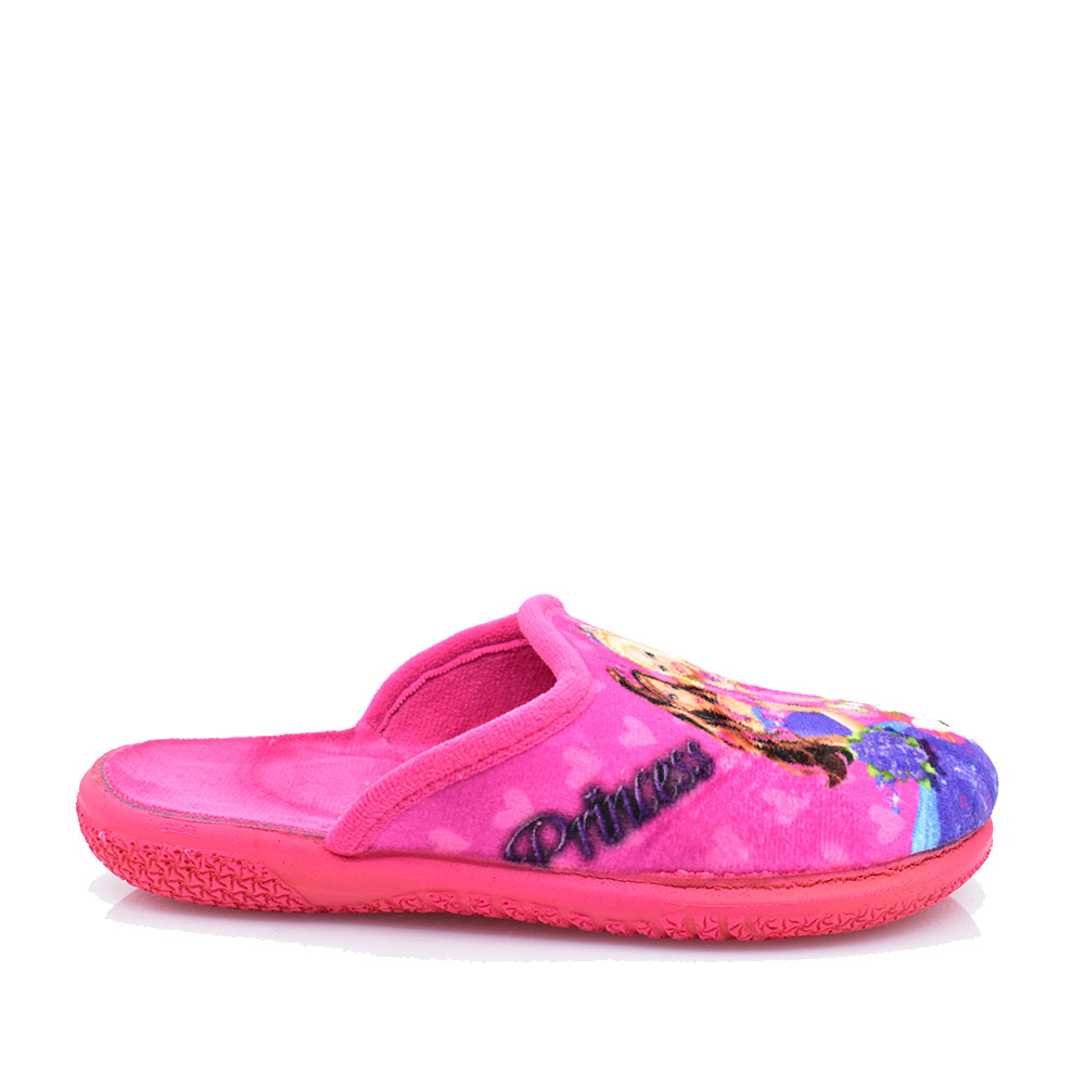 2411-0134-ΦΟΥΞΙΑ-1