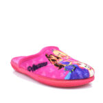 2411-0134-ΦΟΥΞΙΑ-2