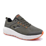 2499-0174-ΛΑΔΙ-2