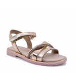 2499-0221-ΧΑΛΚΟΣ-2