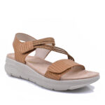 2499-0234-ΚΑΦΕ-2