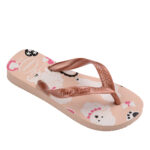 2499-0436-ΧΑΛΚΟΣ-2