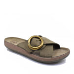 2499-0382-ΛΑΔΙ-2