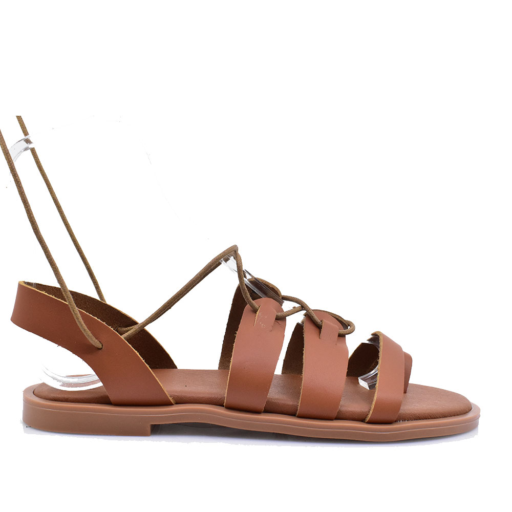 2499-0539-ΤΑΜΠΑ-1