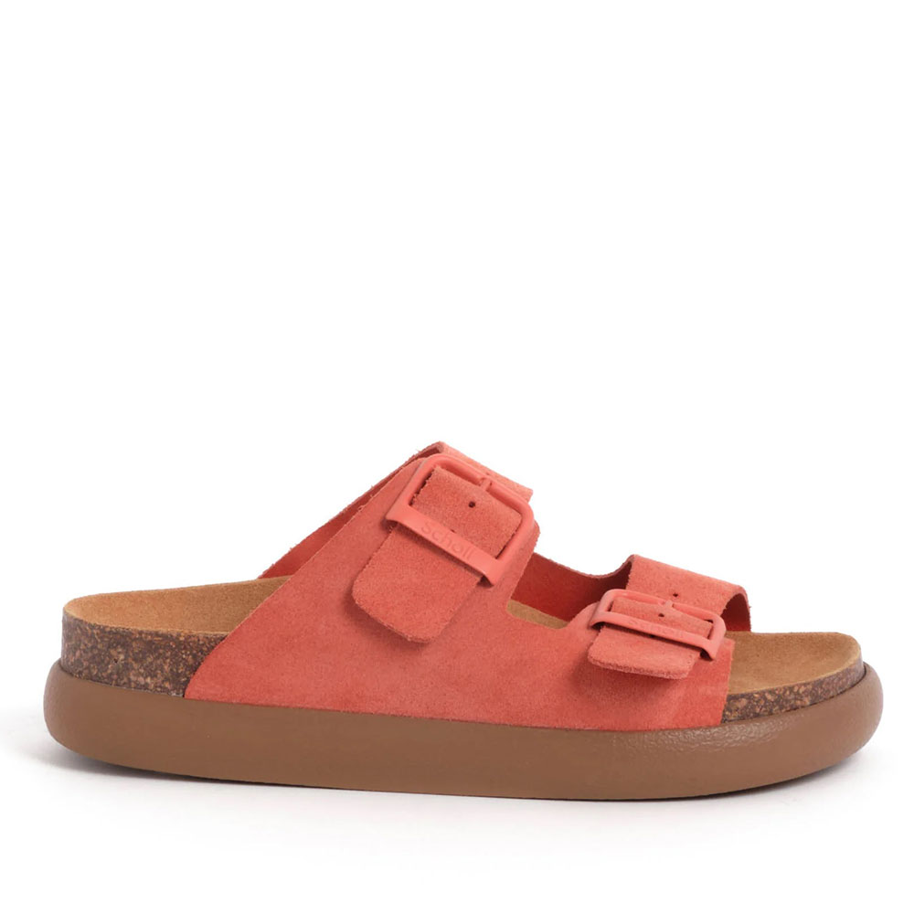 2499-0429-ΠΟΡΤΟΚΑΛΙ-1