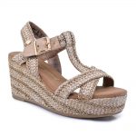 2599-0097-ΚΑΜΕΛ-2