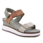 2599-0098-ΛΑΔΙ-2