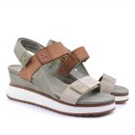 2599-0098-ΛΑΔΙ-3