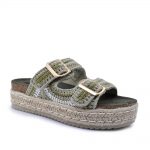 2599-0099-ΛΑΔΙ-2