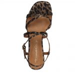 2299-0041-ΛΕΟΠΑΡ-3