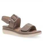 2599-0388-ΠΟΥΡΟ-2