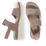 2599-0388-ΠΟΥΡΟ-3