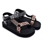 2599-0250-ΛΕΟΠΑΡ-3