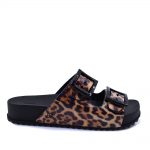 2599-0268-ΛΕΟΠΑΡ-1