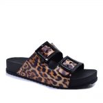 2599-0268-ΛΕΟΠΑΡ-2