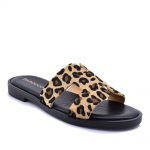 2599-0331-ΛΕΟΠΑΡ-2