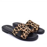 2599-0331-ΛΕΟΠΑΡ-3